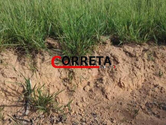 #355 - Terreno para Venda em Ibiúna - SP - 3