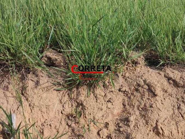 Terreno para Venda em Ibiúna - 4