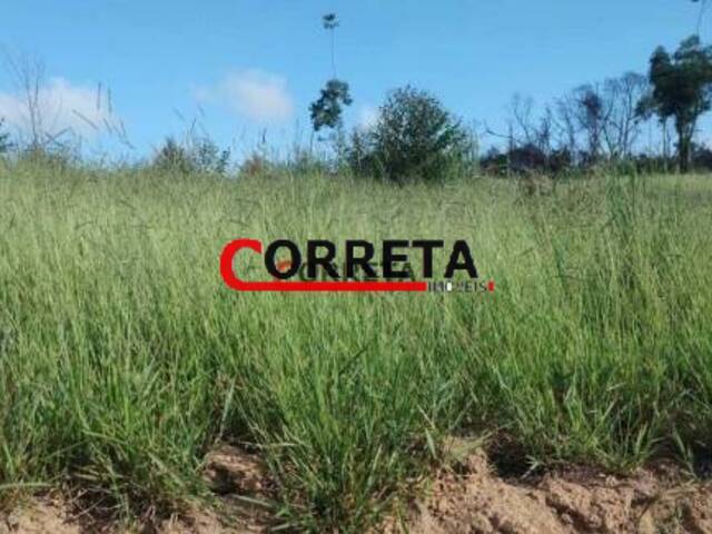 #355 - Terreno para Venda em Ibiúna - SP - 1