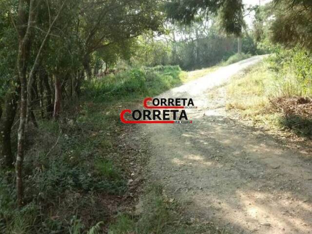 #356 - Terreno para Venda em São Roque - SP - 3