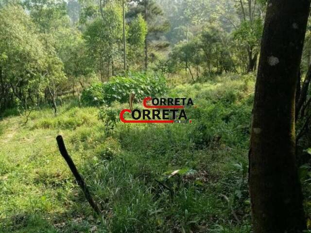 #356 - Terreno para Venda em São Roque - SP - 2