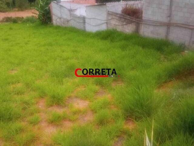 Terreno para Venda em São Roque - 4
