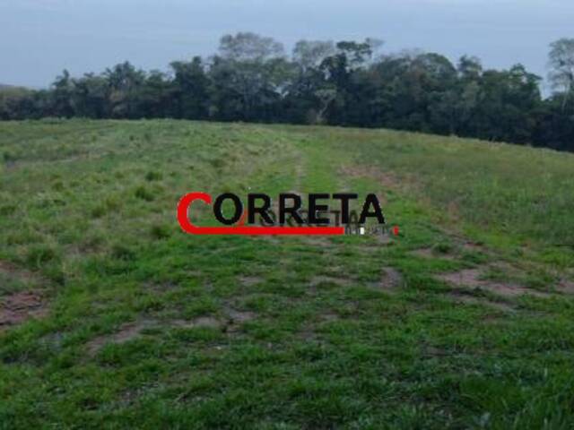 #367 - Terreno para Venda em Ibiúna - SP - 1