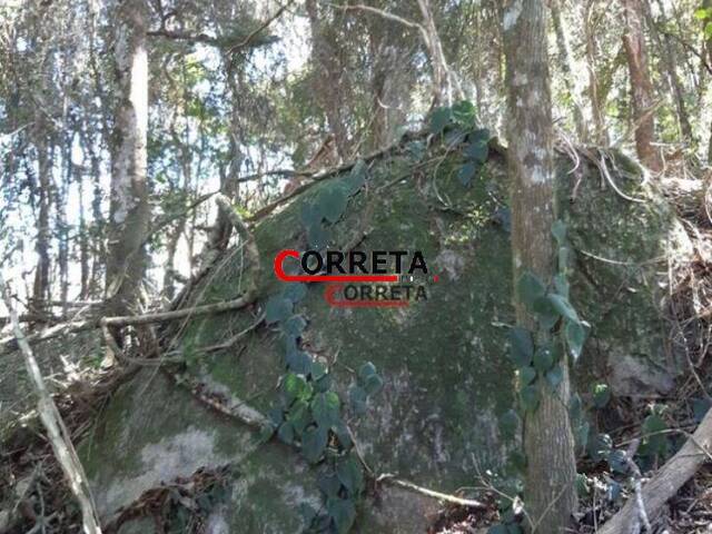 Terreno para Venda em Ibiúna - 2