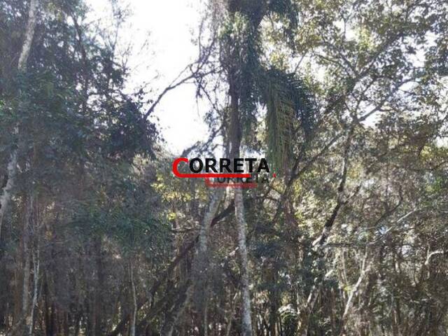 Terreno para Venda em Ibiúna - 3