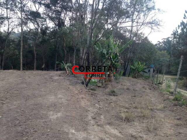 #378 - Terreno para Venda em São Roque - SP - 3