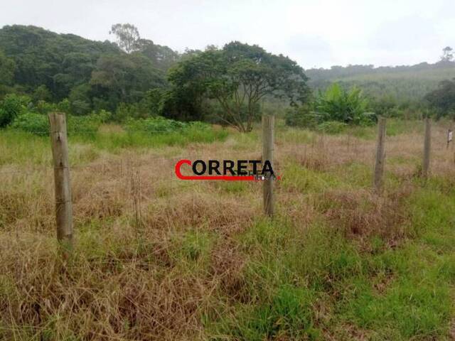 #387 - Terreno para Venda em Ibiúna - SP - 3