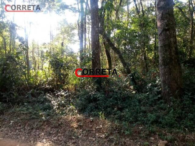 Terreno para Venda em Ibiúna - 2