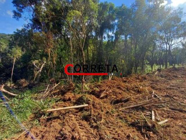 #428 - Terreno para Venda em Ibiúna - SP - 1
