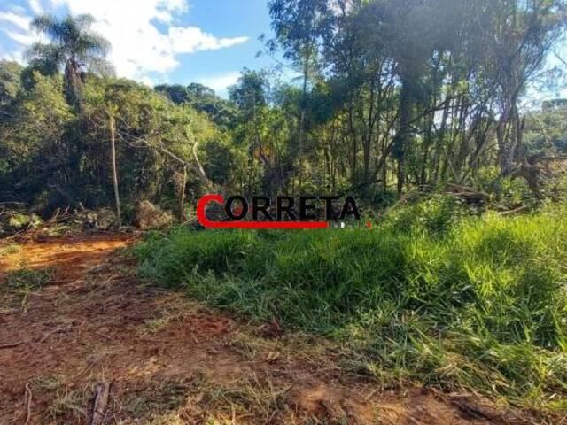 #428 - Terreno para Venda em Ibiúna - SP - 2