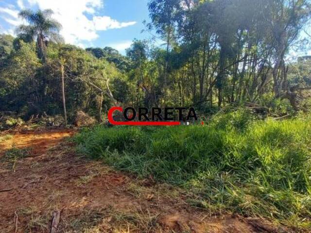 Terreno para Venda em Ibiúna - 4