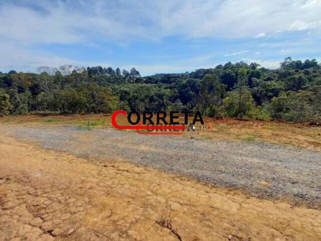 #430 - Terreno para Venda em Ibiúna - SP - 3
