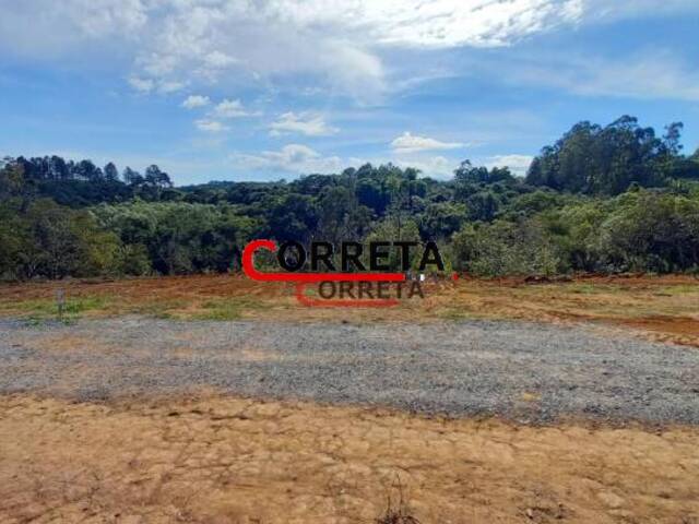 #433 - Terreno para Venda em Ibiúna - SP - 3