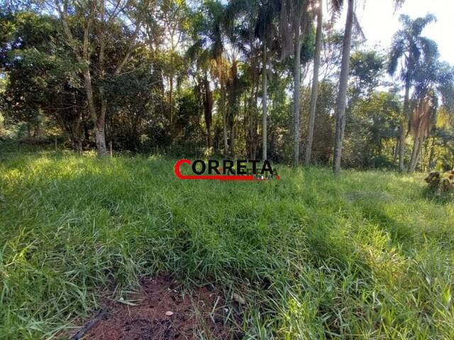#435 - Terreno para Venda em Ibiúna - SP - 2