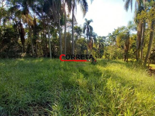#435 - Terreno para Venda em Ibiúna - SP - 3