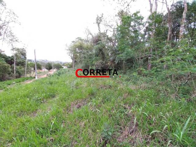 #436 - Terreno para Venda em Ibiúna - SP - 2