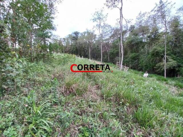 #436 - Terreno para Venda em Ibiúna - SP - 3