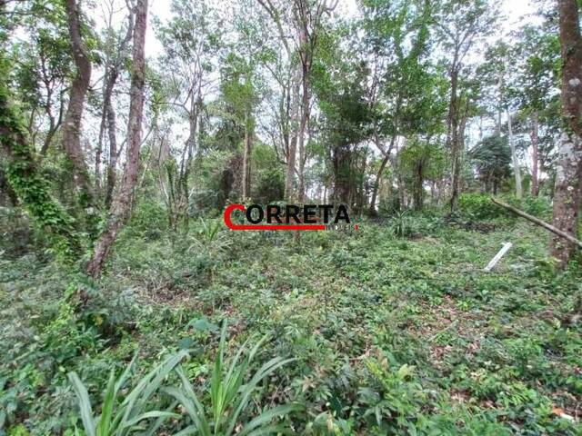 Terreno para Venda em Ibiúna - 5