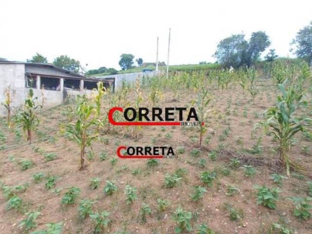 #437 - Terreno para Venda em Ibiúna - SP - 3