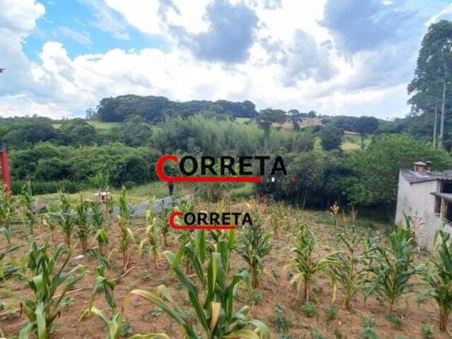Terreno para Venda em Ibiúna - 4