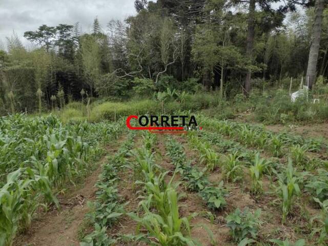 #439 - Terreno para Venda em Ibiúna - SP - 1