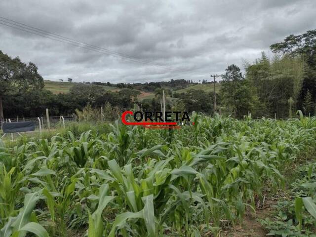 #439 - Terreno para Venda em Ibiúna - SP - 2