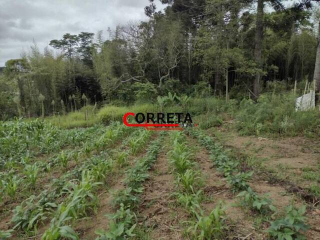#439 - Terreno para Venda em Ibiúna - SP - 3
