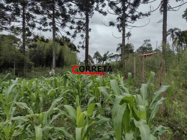 Terreno para Venda em Ibiúna - 4