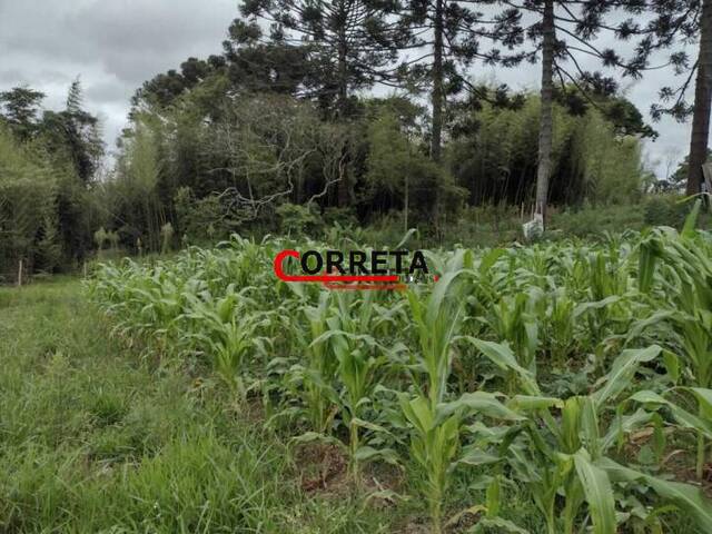 Terreno para Venda em Ibiúna - 5