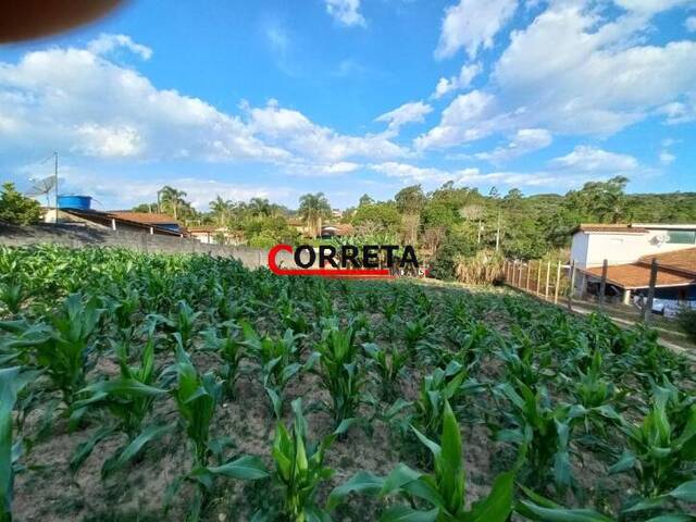 Terreno para Venda em Ibiúna - 4