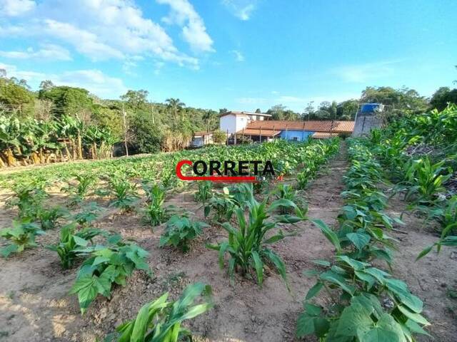 Terreno para Venda em Ibiúna - 2