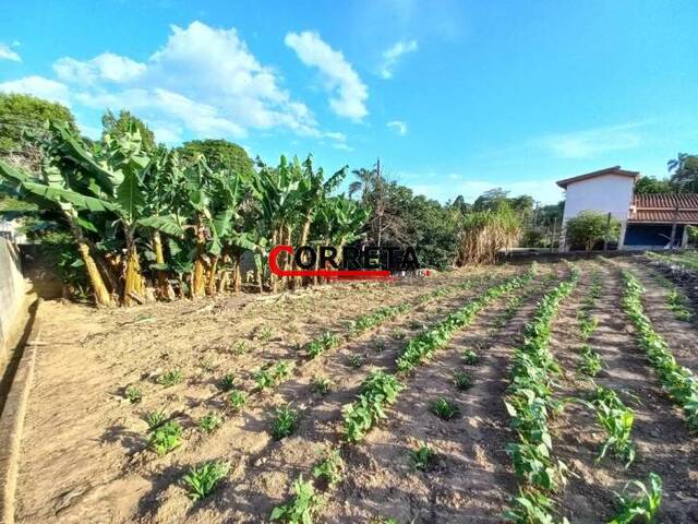 Terreno para Venda em Ibiúna - 3