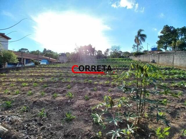 Terreno para Venda em Ibiúna - 5