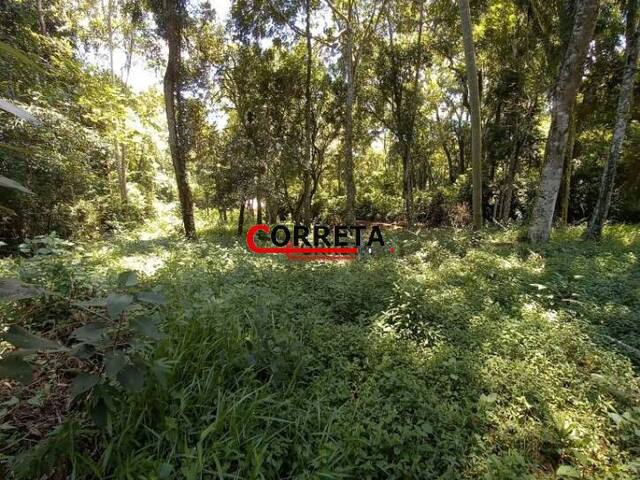 #442 - Terreno para Venda em Ibiúna - SP - 2