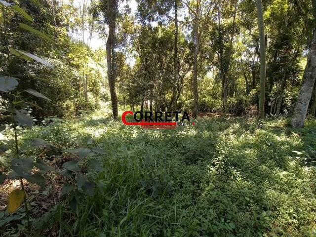 Terreno para Venda em Ibiúna - 4