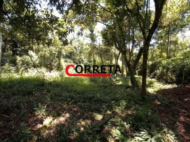 Terreno para Venda em Ibiúna - 5