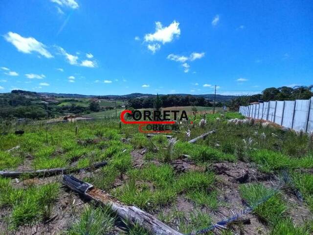 #443 - Terreno para Venda em Ibiúna - SP - 1