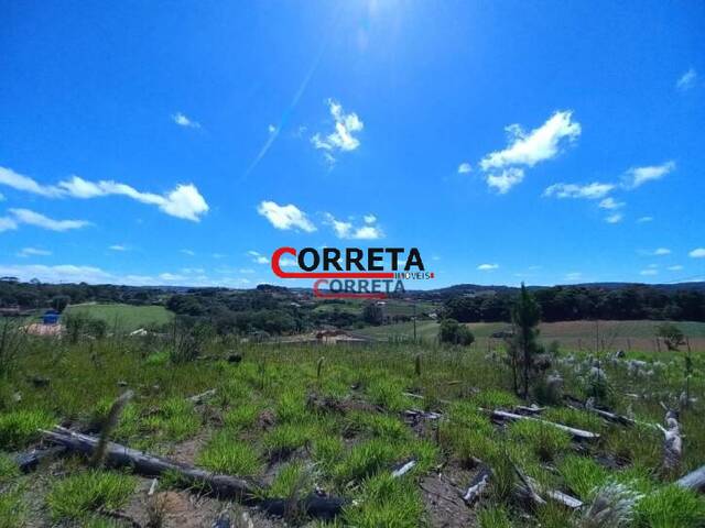 Terreno para Venda em Ibiúna - 5