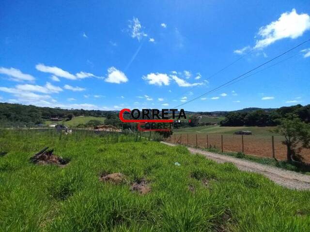 #443 - Terreno para Venda em Ibiúna - SP - 3