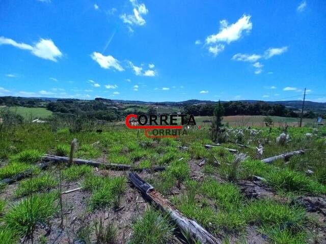 Terreno para Venda em Ibiúna - 4