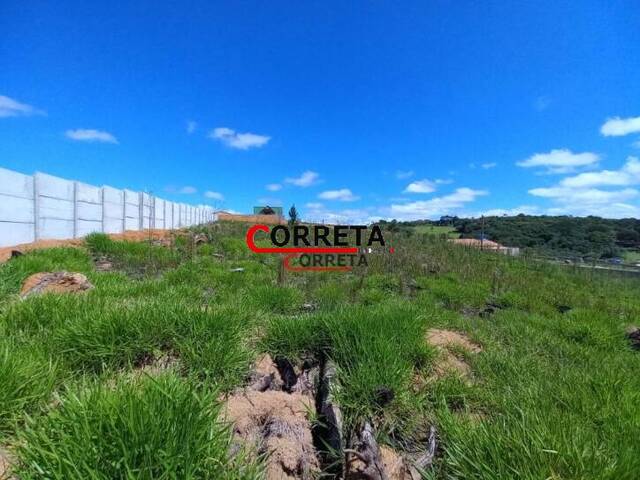 #443 - Terreno para Venda em Ibiúna - SP - 2
