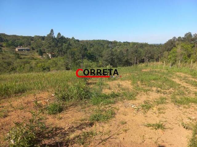 #444 - Terreno para Venda em Ibiúna - SP - 1