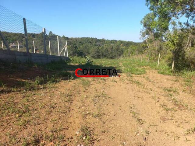 #444 - Terreno para Venda em Ibiúna - SP - 3