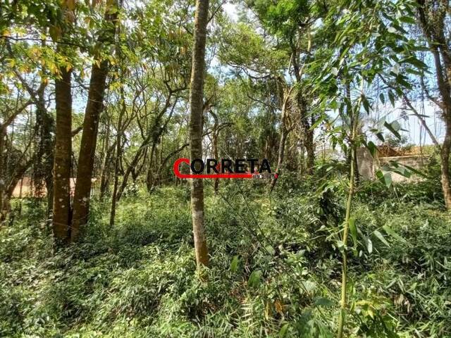 #445 - Terreno para Venda em Ibiúna - SP - 2