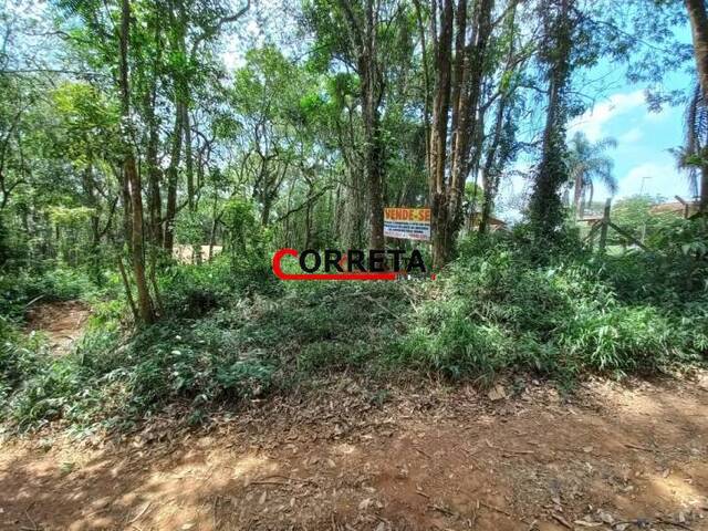 #445 - Terreno para Venda em Ibiúna - SP - 3
