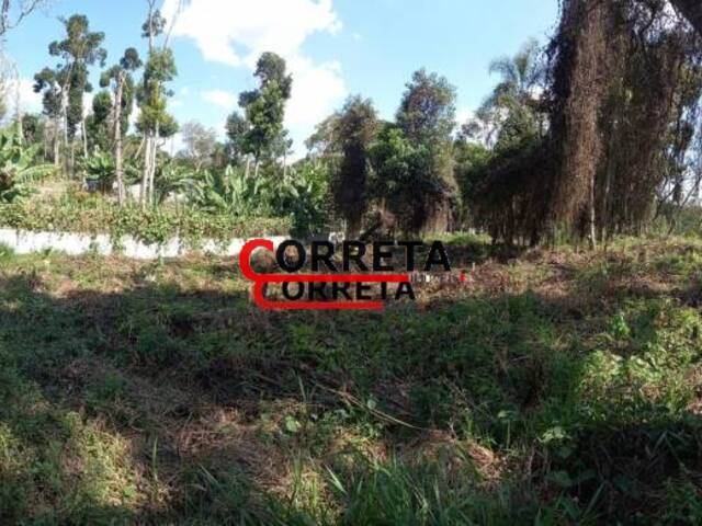 #465 - Terreno para Venda em Ibiúna - SP - 2