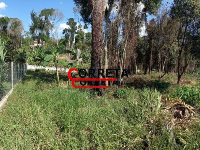 #465 - Terreno para Venda em Ibiúna - SP - 3