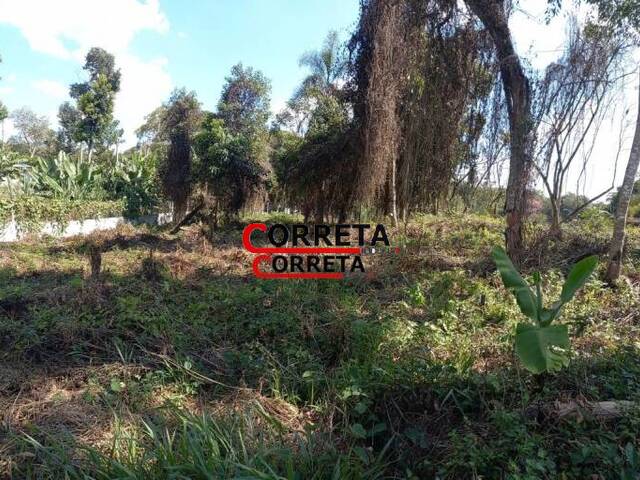 Terreno para Venda em Ibiúna - 4