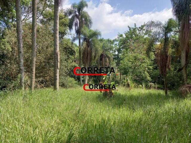 #466 - Terreno para Venda em Ibiúna - SP - 2