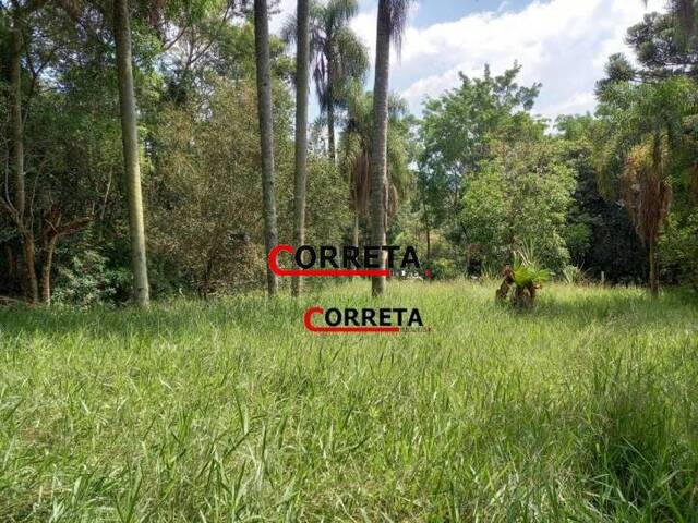 #466 - Terreno para Venda em Ibiúna - SP - 3